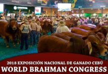 2018 World Brahman Congress