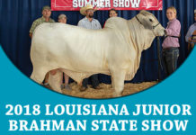 2018 Louisiana Junior Brahman Assoc. State Show