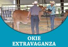 2018 Okie Extravaganza