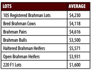 southern-classic-sale-report